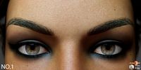 Eyebrows Morphs for G8F Vol 1