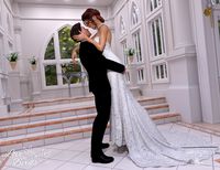 Love Birds for DazStudio