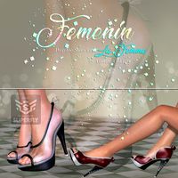 DA-Femenin for PeepToe Shoes for La Femme