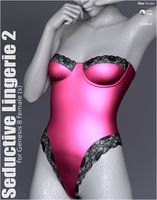 Seductive Lingerie 2