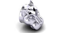Lion Head | 3D