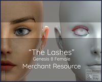 MYKT The Lashes Genesis 8 Female - Merchant Resource