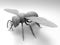 Honey Bee