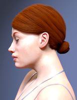Ada Hair for Genesis 8 Female(s)