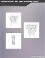 Intimate Natural Body Hair Options for Genesis 3 Females