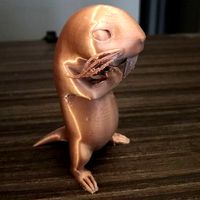 Rufus - Mole-Rat | 3D