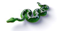 Rigged Emerald Tree Boa