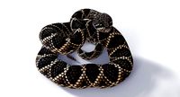Rigged Eastern Diamondback Rattlesnake