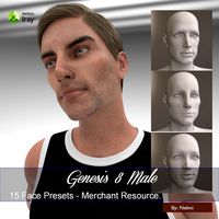 15 Face Presets for Genesis 8 Male - Merchant Resource