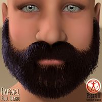 Raffael - Full Beard