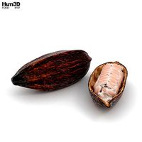 Cocoa Pod