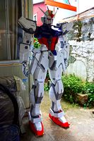 2m15cm Aile Strike GUNDAM  | 3D