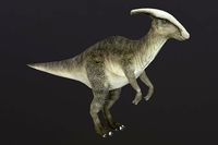 Hadrosaur