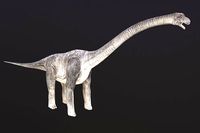 Brachiosaurus
