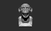 Chimpanzee bust | 3D
