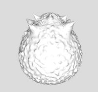 Horned Egg | 3D