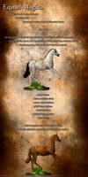 Equus Magica For the Millennium Horse