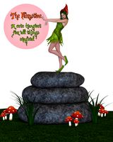 The Fairystone
