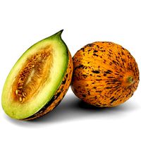realistic melon scan model