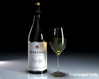 Champagne Bottle Glass 3D Model