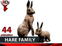 HARE FAMILY