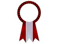 Ribbon Rosette Cockade