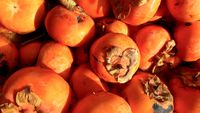 Persimmons