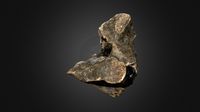 Woolly Rhino Axis Vertebra