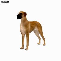 Great Dane HD