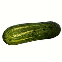Cucumber