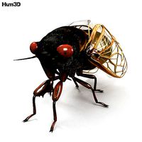 Cicada HD