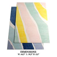 ALLMODERN Rugs 302