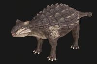 Ankylosaurus