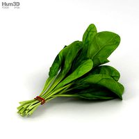 Spinach