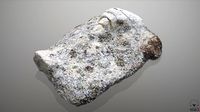 Rock with lichen