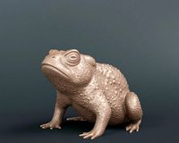 Toad Frog | 3D