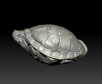 tortoise | 3D