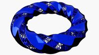 Tripple twisted Torus | 3D