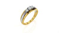 Ring R 0102 | 3D