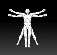 Da Vinci  Vitruvian Man of math Symbol of the Day Wireframe | 3D