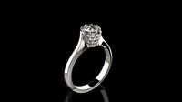 B RINGS N5 | 3D