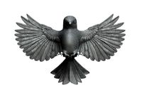 Western Bluebird  Sialia Mexicana | 3D