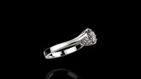 B RINGS N5 | 3D