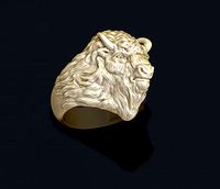 Buffalo ring | 3D