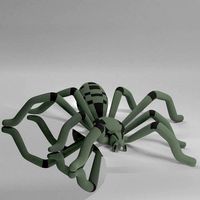 TEGENARIA DOMESTICA | 3D