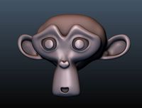 Monkey Head Suzanne | 3D