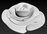 Furniture rose handle small | 3D