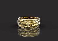 Ring Drapery | 3D