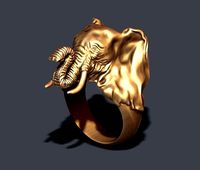 elephant ring | 3D