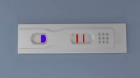 Pregnancy Test Kit